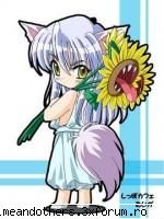 Poze cu Yu Yu Hakusho - uite doua super! - Galerie de imagini